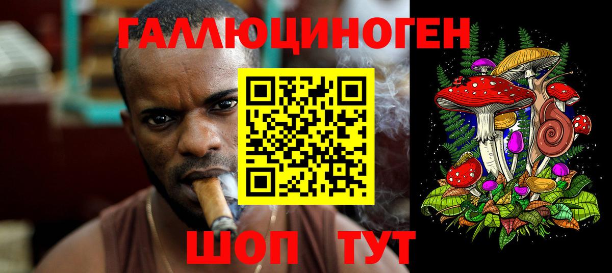 Сибай  Псилоцибиновые грибы мухоморы  Вход с VPN 