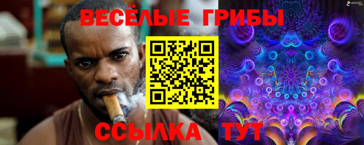 Галлюциногенные грибы Psilocybine cubensis Сибай